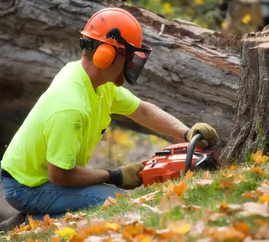 tree services Riverwood